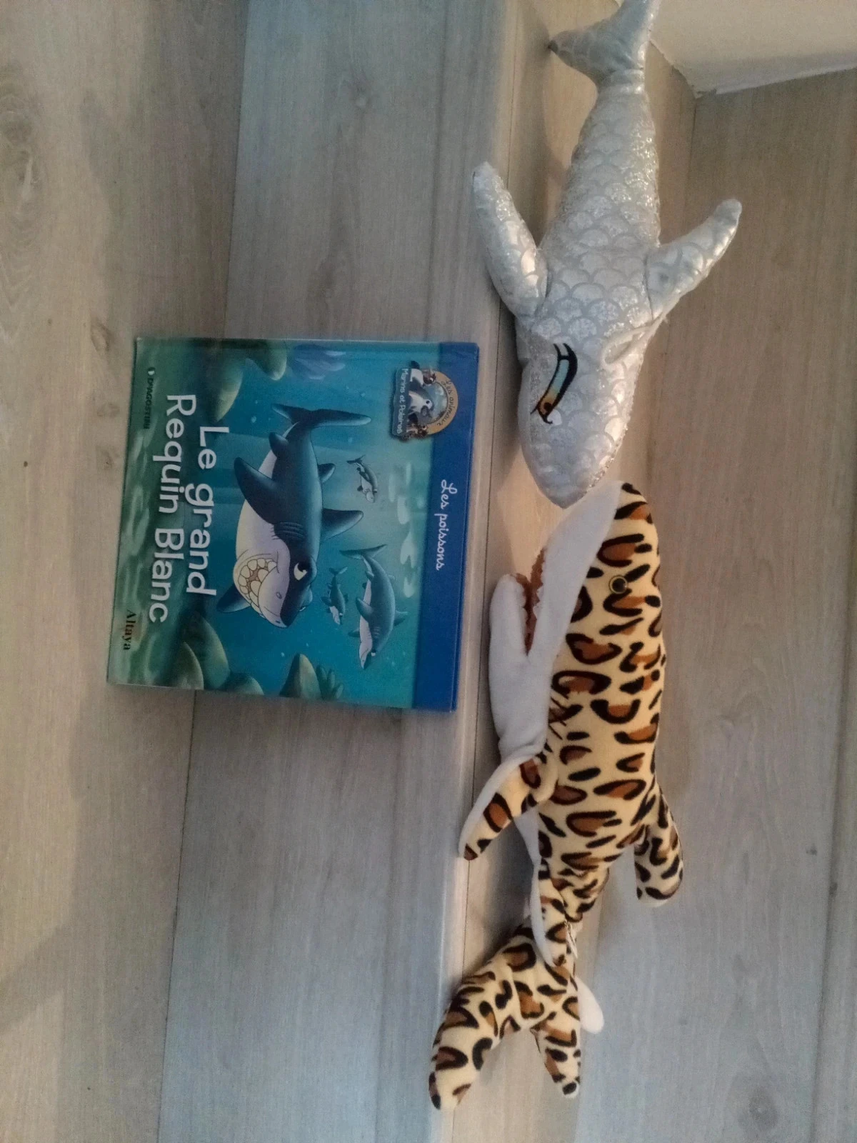 Lot 3 articles requin – photo 2